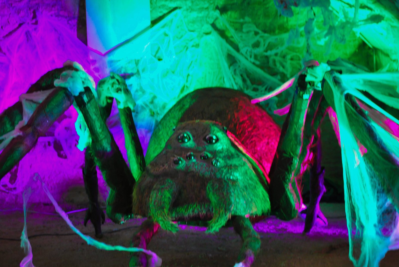 Araignée géante en lumière ultraviolette